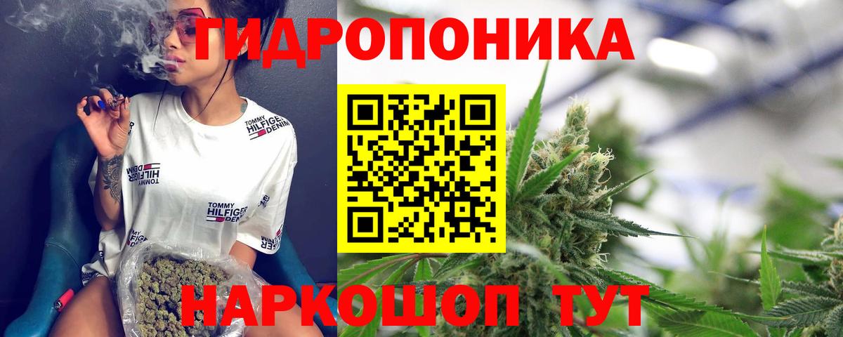 Шишки марихуана план Кисловодск